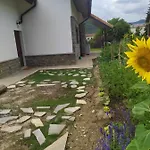 Lägenhet Casa Cotefablo. Ara *