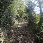 Casa Cotefablo. Ara *